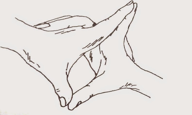 Uttarbodhi-Mudra